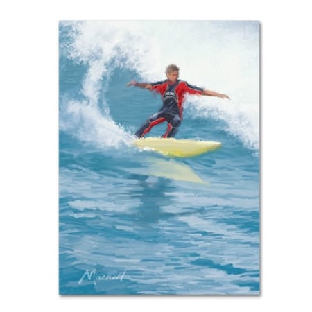 The Macneil Studio 'Surfer' Canvas Art,18x24